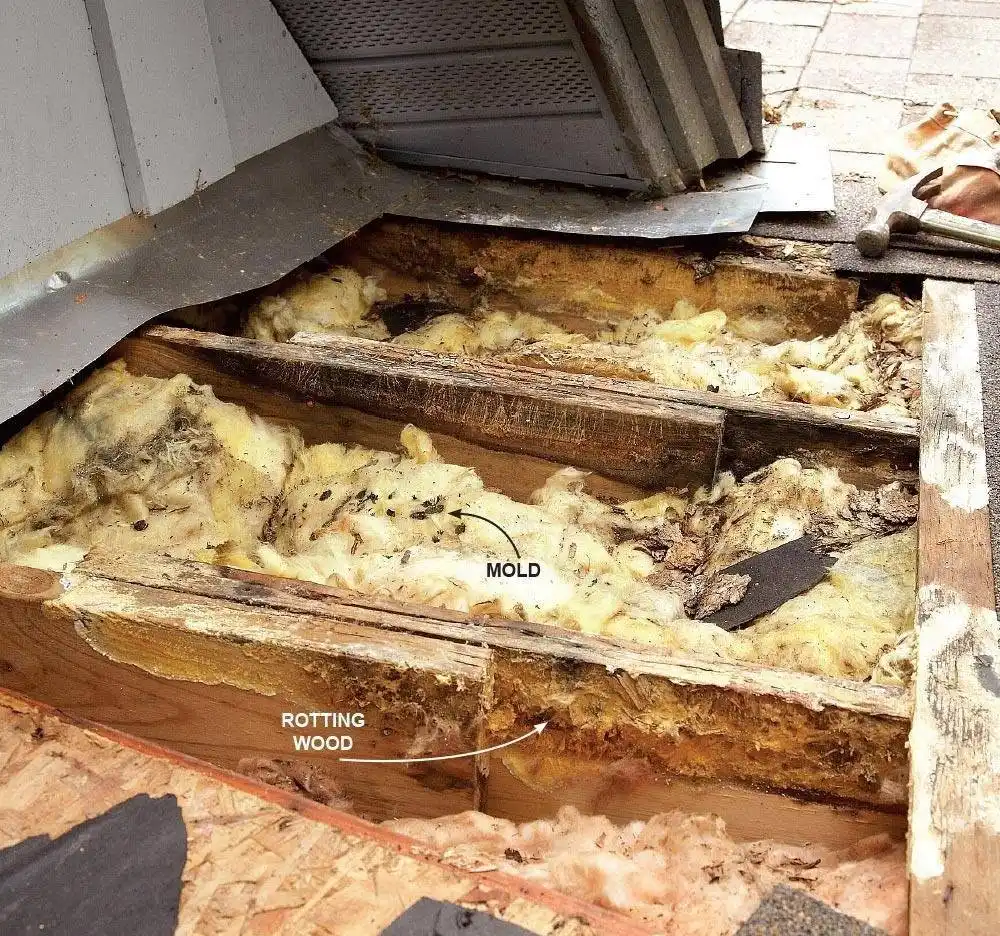 Roof leak damage showing mold and rotting wood