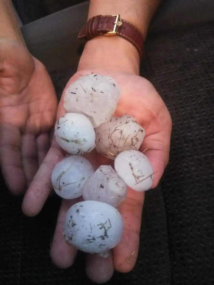 Man holding fresh hailstones McKinney Texas